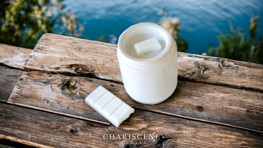 Lake Trip Wax Melts